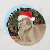 ラウンドパーソナライズされたワイマランアドッグクリスマス シーズンカード (正面/裏面)