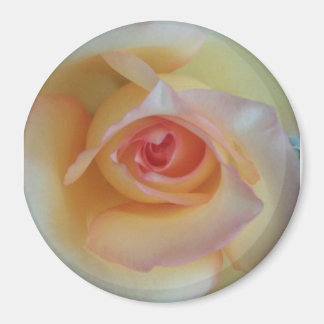 ラウンドフォトマグネット マグネット