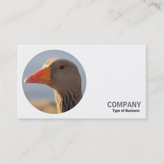 ラウンドフォト – Greylag Goose 名刺 (正面)