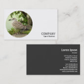 ラウンドフォト – Young Herring Gull 名刺 (正面/裏面)