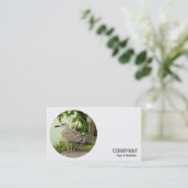 ラウンドフォト – Young Herring Gull 名刺 (スタンド正面)