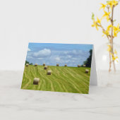 ラウンドヘイ・バレスonヒル – I カード (黄色い花)