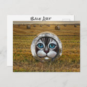 ラウンドベールアートランチャーズ農家ヘイフィールドグラフィティ ポストカード (正面/裏面)