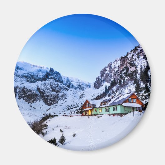 ラウンドマグネットの不具合 マグネット (正面)