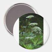 ラウンドマグネットテンプレート マグネット (正面/裏面)