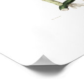 ラエリアのスーパーバイエンス。 ポスター (角)