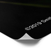 ラエリアアンセプス ポスター (角)