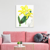 ラエリアキサンティーナヴィンテージイエローリンデニアオーキッド キャンバスプリント (インサイチュ (リビング))