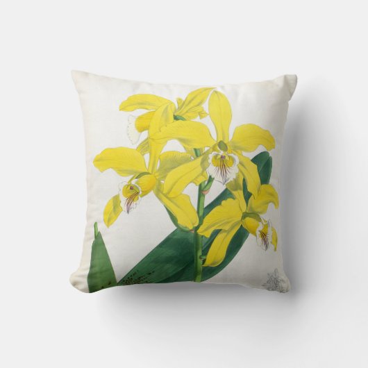 ラエリアキサンティーナヴィンテージイエローリンデニアオーキッド クッション (正面)