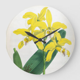 ラエリアキサンティーナヴィンテージイエローリンデニアオーキッド ラージ壁時計
