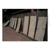 ラオスの田 (正面横)