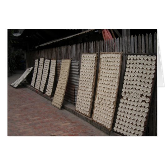 ラオスの田 (正面横)