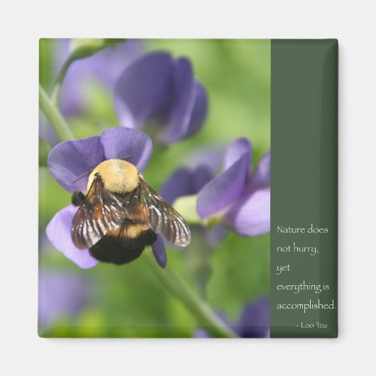 ラオスの知恵の言葉 マグネット (正面)