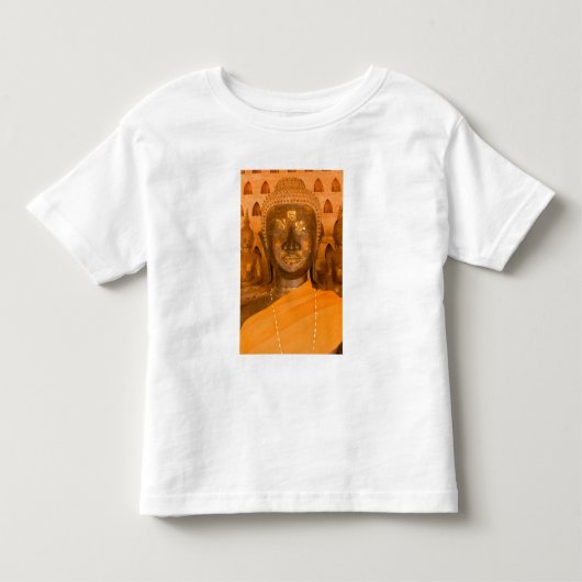 ラオス, ヴィエンチャン, 2体の中の6840体の仏像の1つ トドラーTシャツ (正面)