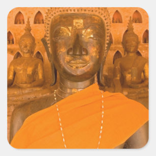 ラオス、ヴィエンチャン、Wat Si Saketにある6840体の仏像の1つ スクエアシール