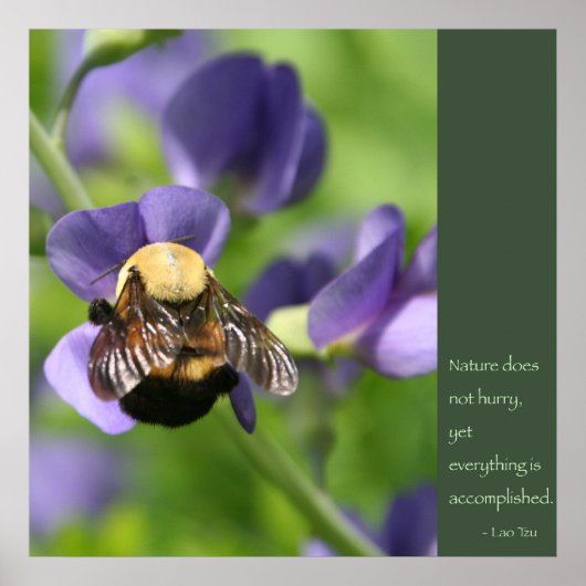 ラオチュ引用文ポスター ポスター (正面)