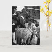 ラカンパーニュアパリリュダゲレシープフーズ カード (黄色い花)