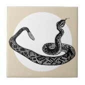 ラガヘビ タイル (正面)