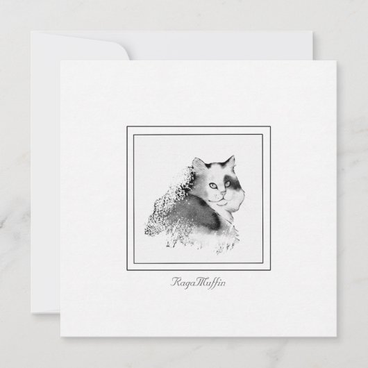 ラガマフィン猫の木炭スケッチ ノートカード (正面)