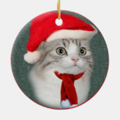 ラガムフィいけなンまたはニースオーナメント セラミックオーナメント (裏面)