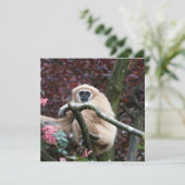 ラギボンズスカーレットリトリート (スタンド正面)