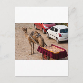 ラクダと車 ポストカード