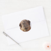 ラクダのシール ラウンドシール (封筒)