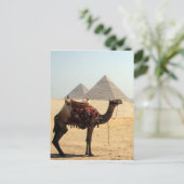 ラクダのピラミッド ポストカード (スタンド正面)