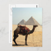 ラクダのピラミッド ポストカード (正面/裏面)