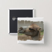 ラクダのヘッドボタン 缶バッジ (正面&裏面)