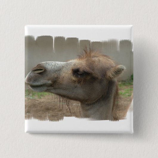 ラクダのヘッドボタン 缶バッジ (正面)