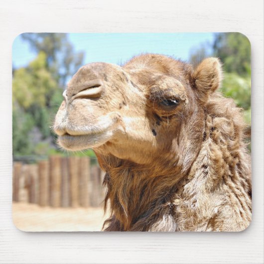 ラクダのマウスパッド マウスパッド (正面)