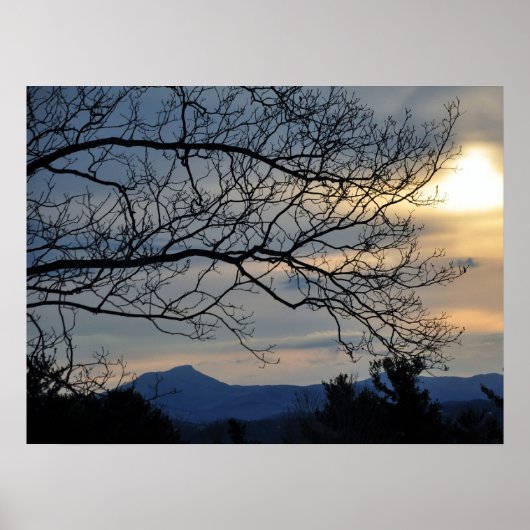 ラクダの丘 ポスター (正面)