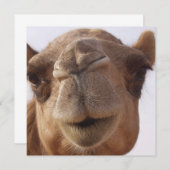 ラクダの招待状 招待状 (正面/裏面)