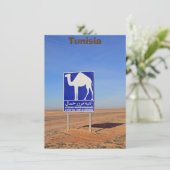 ラクダの看板，チュニジア，カード (スタンド正面)