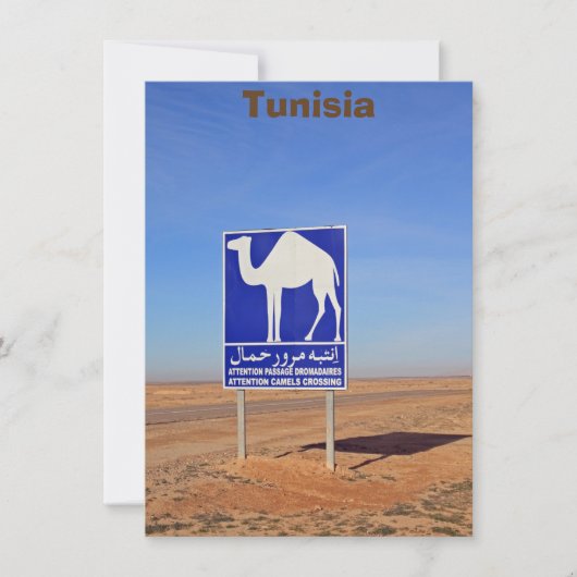 ラクダの看板，チュニジア，カード (正面)
