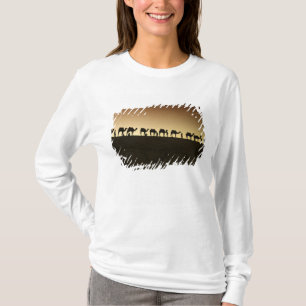 ラクダの群れとラクダ飼い Tシャツ
