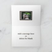 ラクダの野生生物 カード (内部)