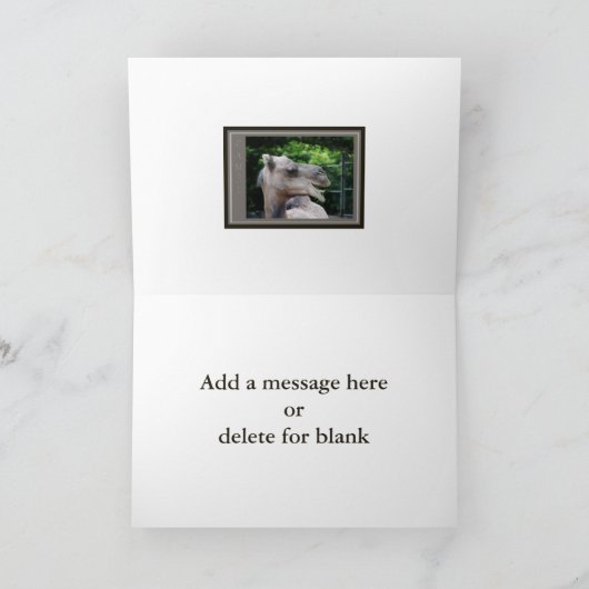 ラクダの野生生物 カード (内部)