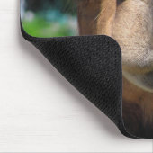 ラクダの顔 マウスパッド (コーナー)