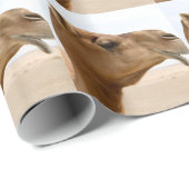 ラクダの顔 ラッピングペーパー (ロールコーナー)