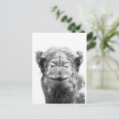 ラクダはおもしろいのクローズアップの写真に接吻します ポストカード (スタンド正面)