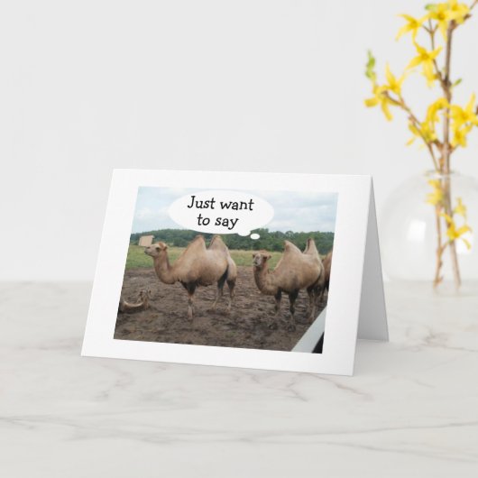 ラクダはハンプ・デイはノーと言う – それはあなたの誕生日 カード (黄色い花)