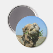 ラクダは花を噛む マグネット (正面/裏面)