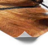 ラクダキスをするおもしろいポスター ポスター (角)