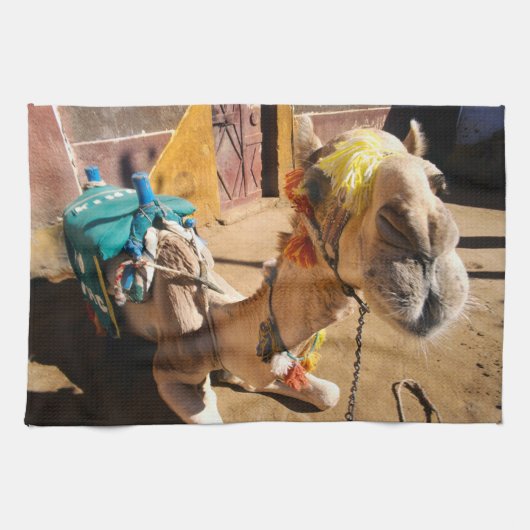 ラクダフレンドリーは次のライダーであるカイロを待っている。 キッチンタオル (横)