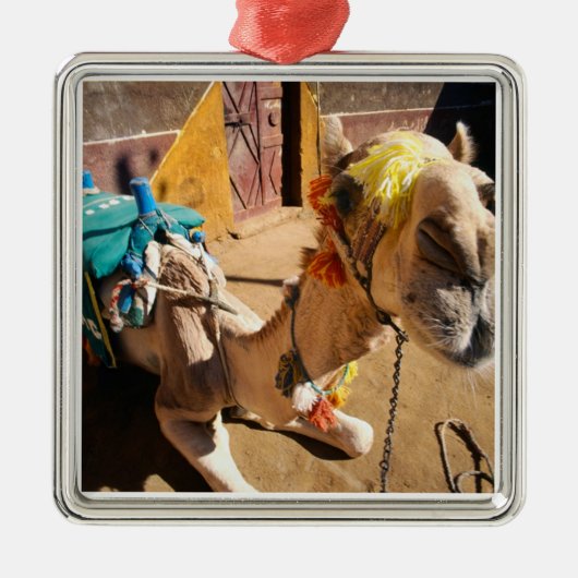 ラクダフレンドリーは次のライダーであるカイロを待っている。 メタルオーナメント (正面)
