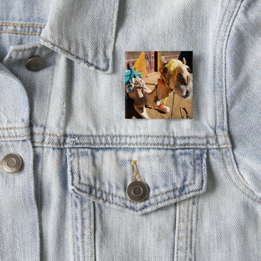 ラクダフレンドリーは次のライダーであるカイロを待っている。 缶バッジ (インサイチュ)