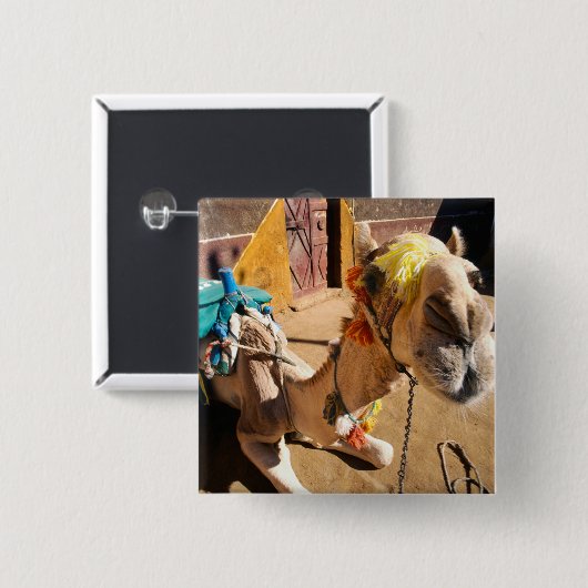 ラクダフレンドリーは次のライダーであるカイロを待っている。 缶バッジ (正面&裏面)