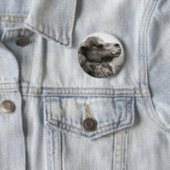 ラクダボタン 缶バッジ (インサイチュ)